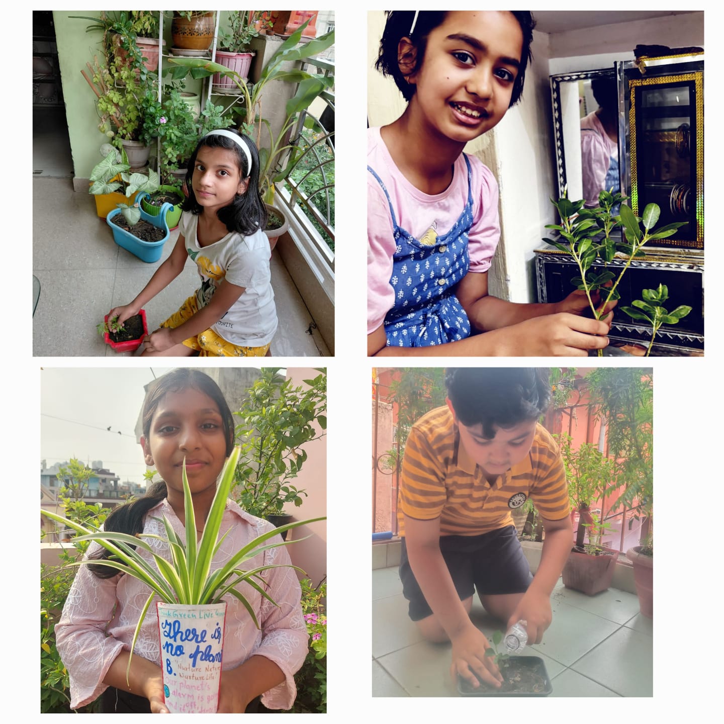 World Environment Day -5 June 2025